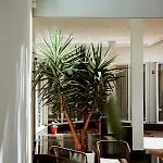 Resort Atrium Deluxe Golem (Tirana)