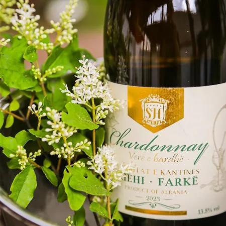 Semesteranläggning (resort) Atrium Deluxe Golem (Tirana)